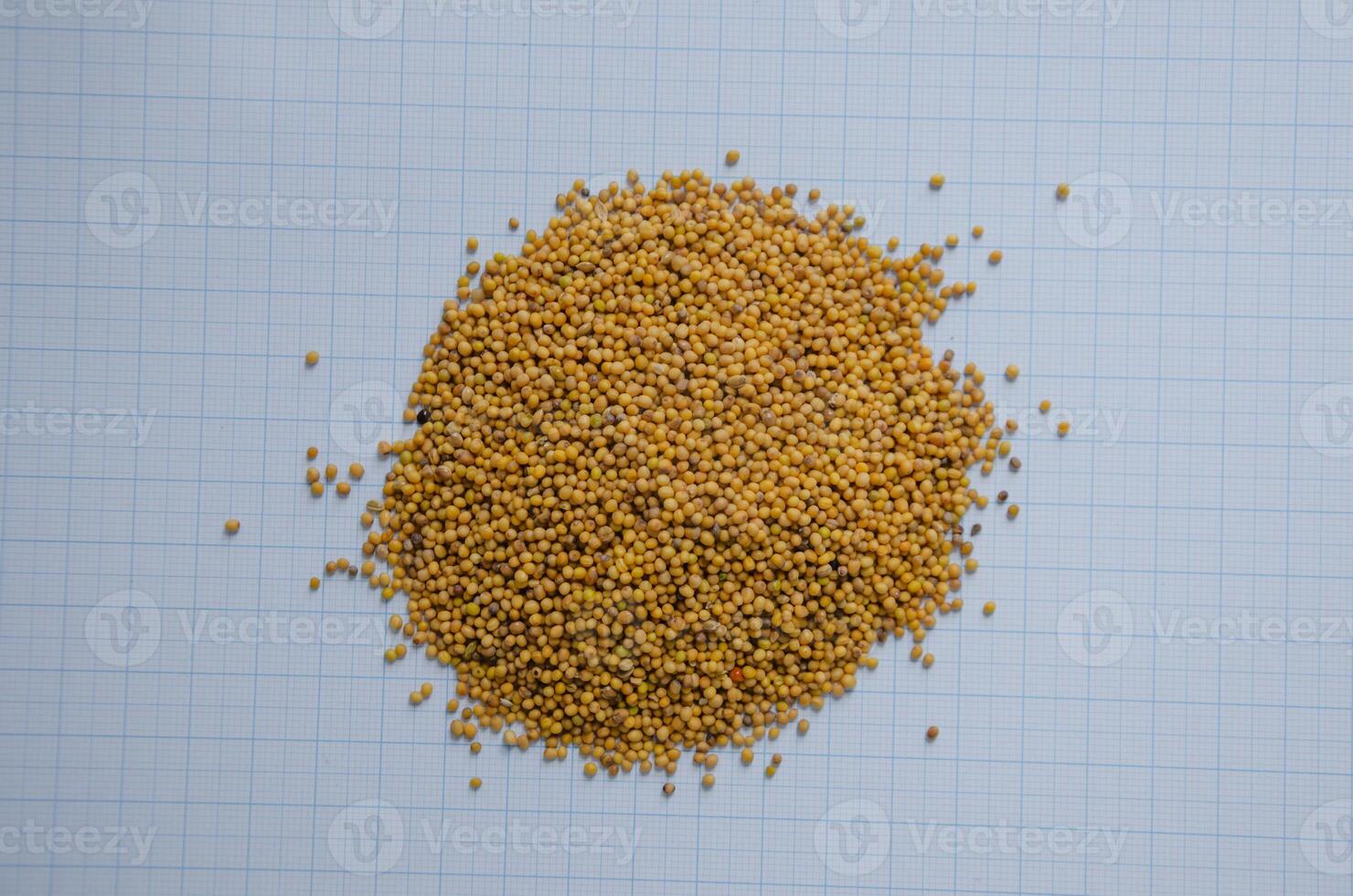 mustard seed yellow on graph paper for size understanding. High quality photo