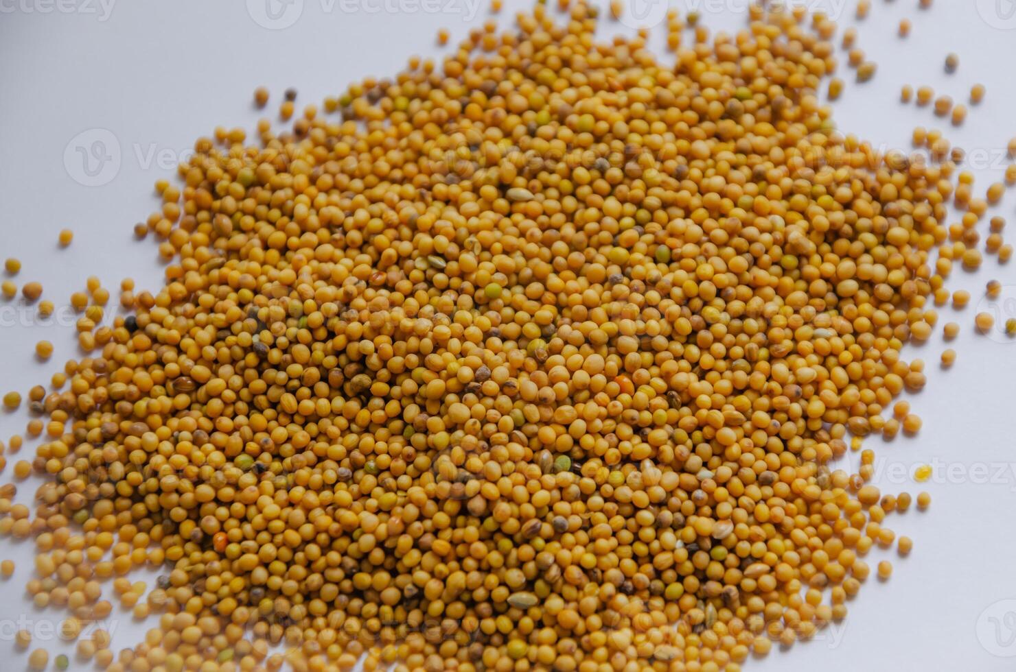 Mustard seed yellow on white background. High quality photo
