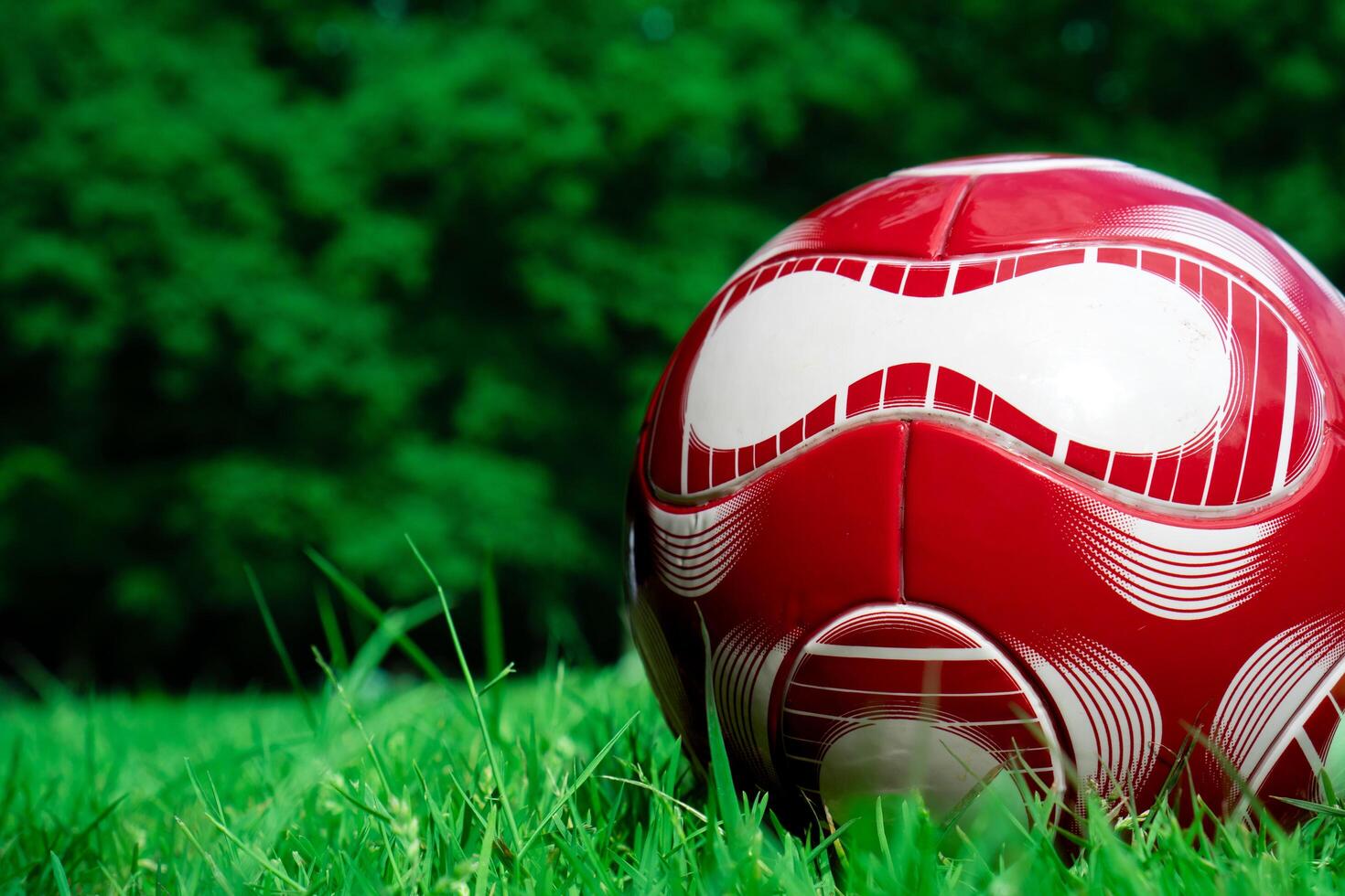 red soccer ball on the field photo
