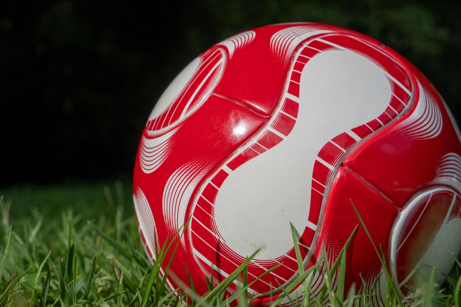 red soccer ball on the field photo