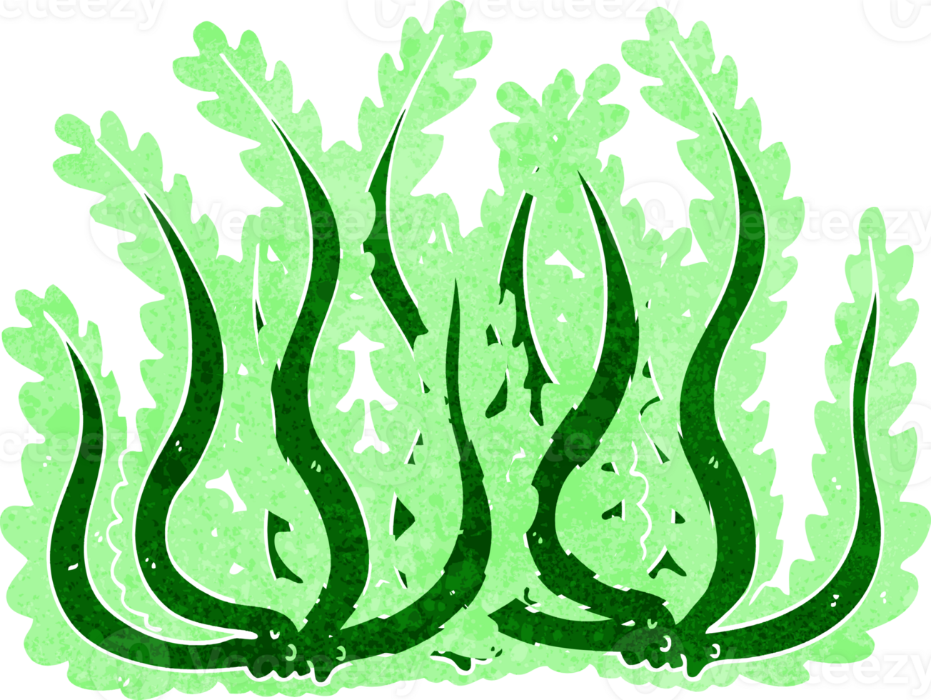 cartoon seaweed drawing png