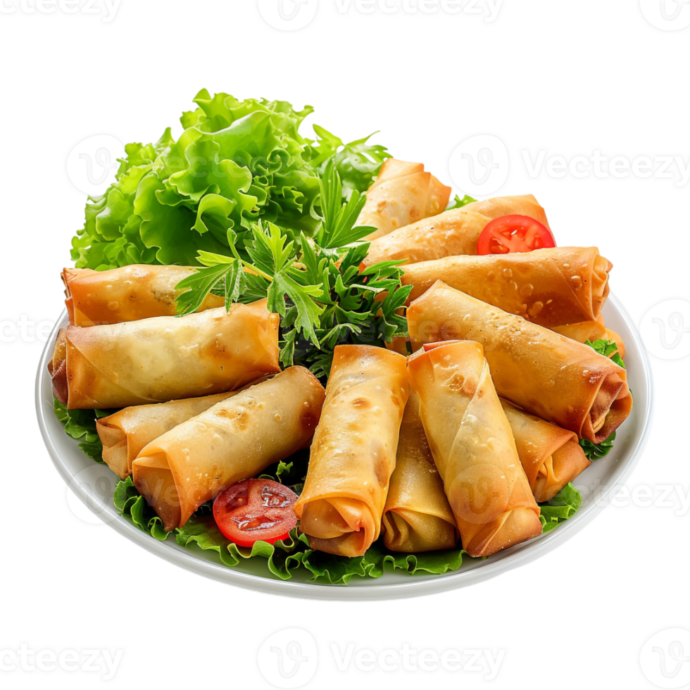 Spring Roll Platter in a Plate on Transparent Background png