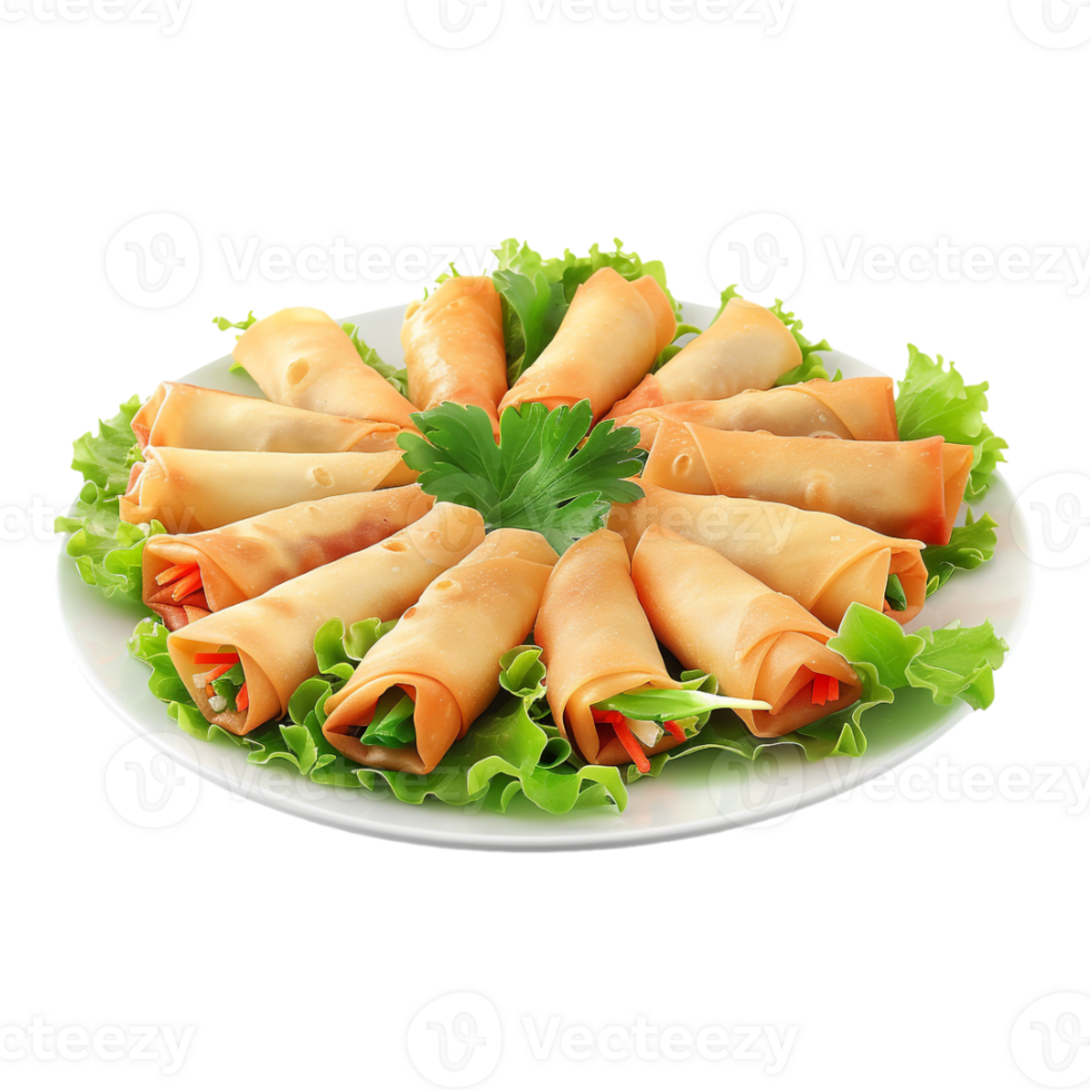 Spring Roll Platter in a Plate on Transparent Background png