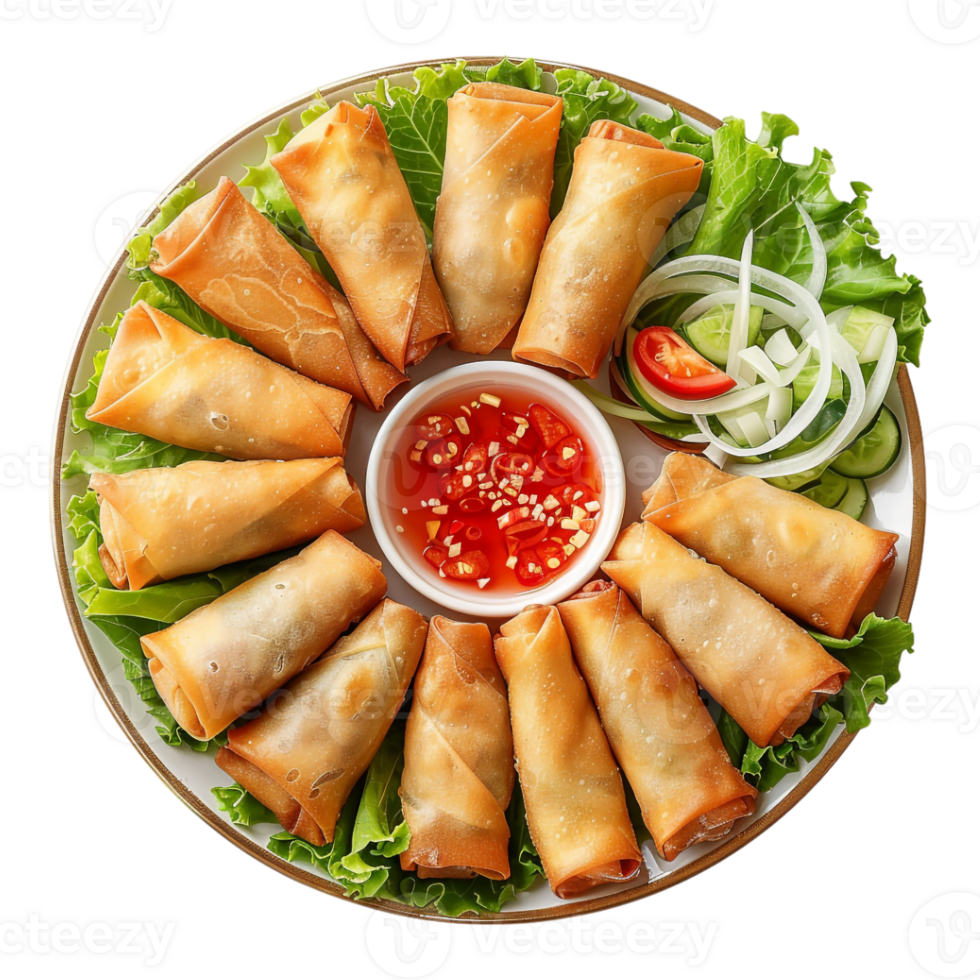 Spring Roll Platter in a Plate on Transparent Background png