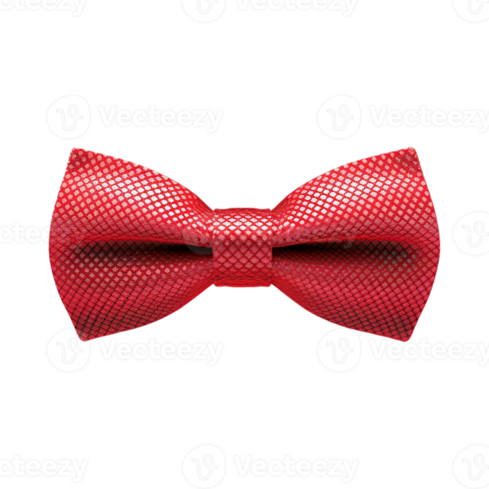Bow on Transparent Background png