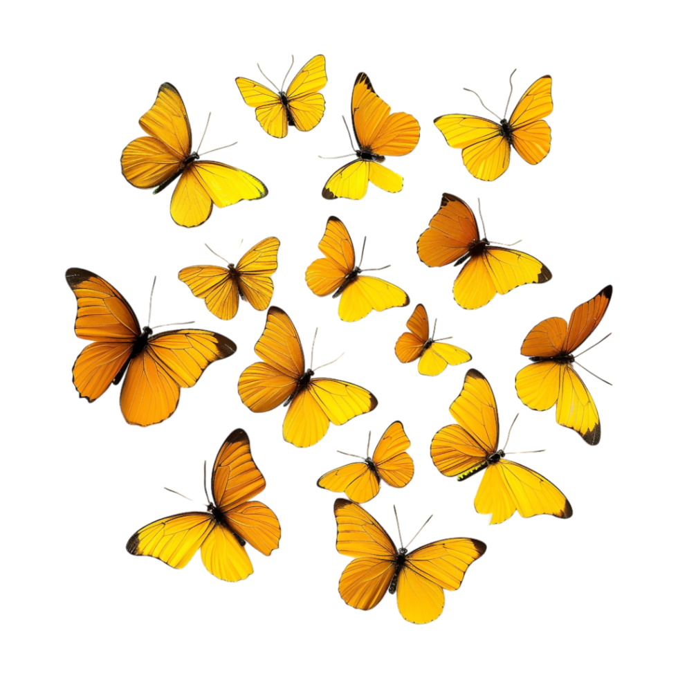 Butterfly flies in air Yellow on Transparent Background png