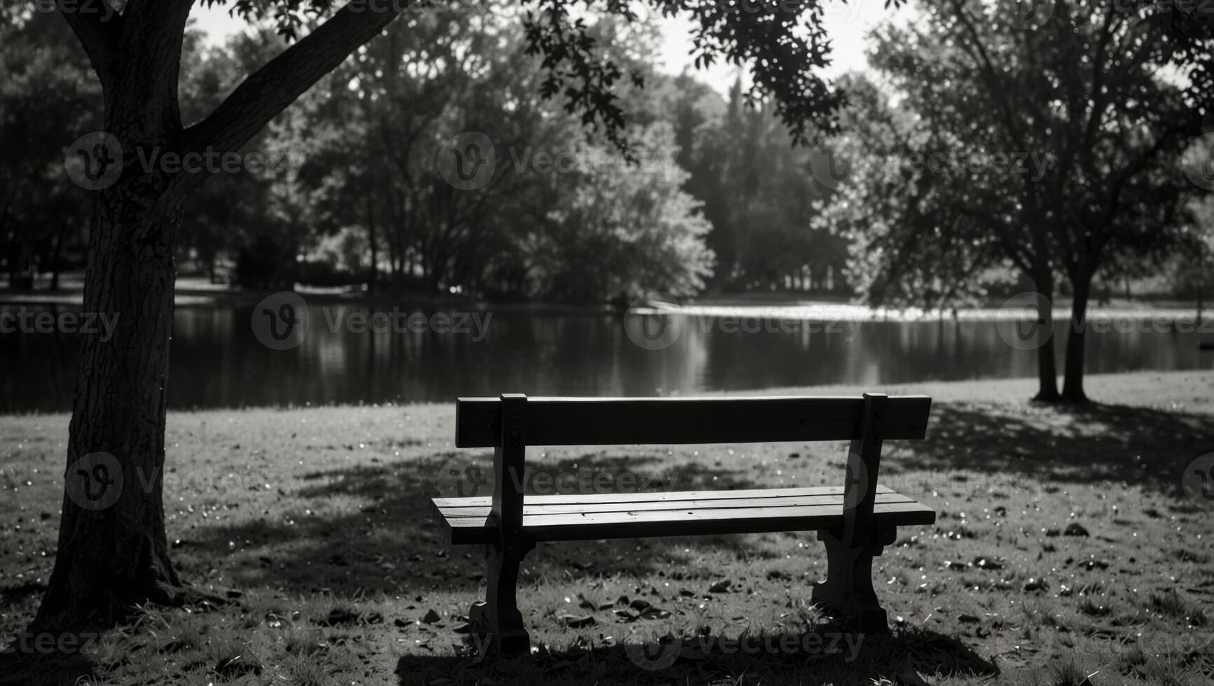 Empty bench in park, huge tree near the lake, light and shadow, black and white, with copy space. photo