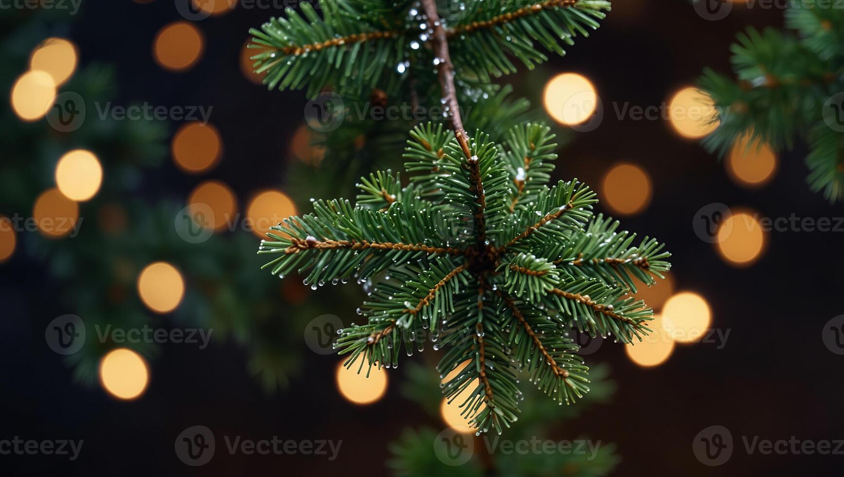 Christmas holiday concept withfir tree branch and magic bokeh Copy space Abstract Background. photo
