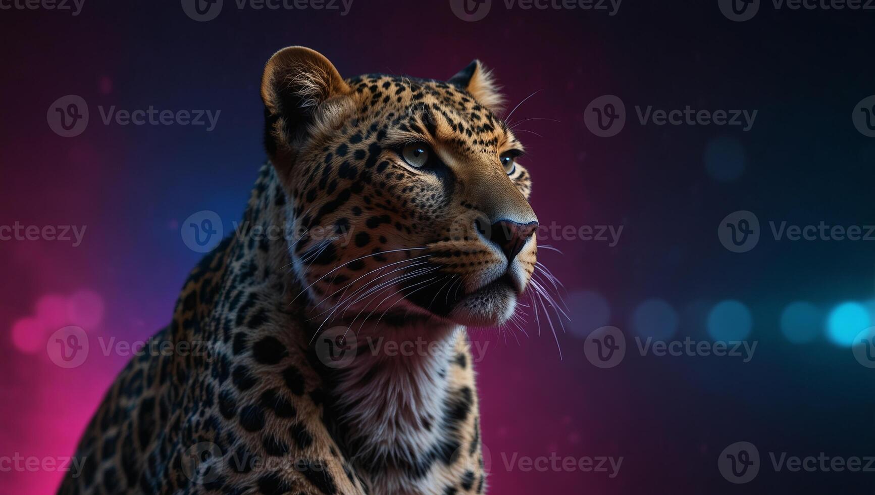 Template of a fierce leopard under colorful pink and blue neon light background, with copy space, studio shot. photo