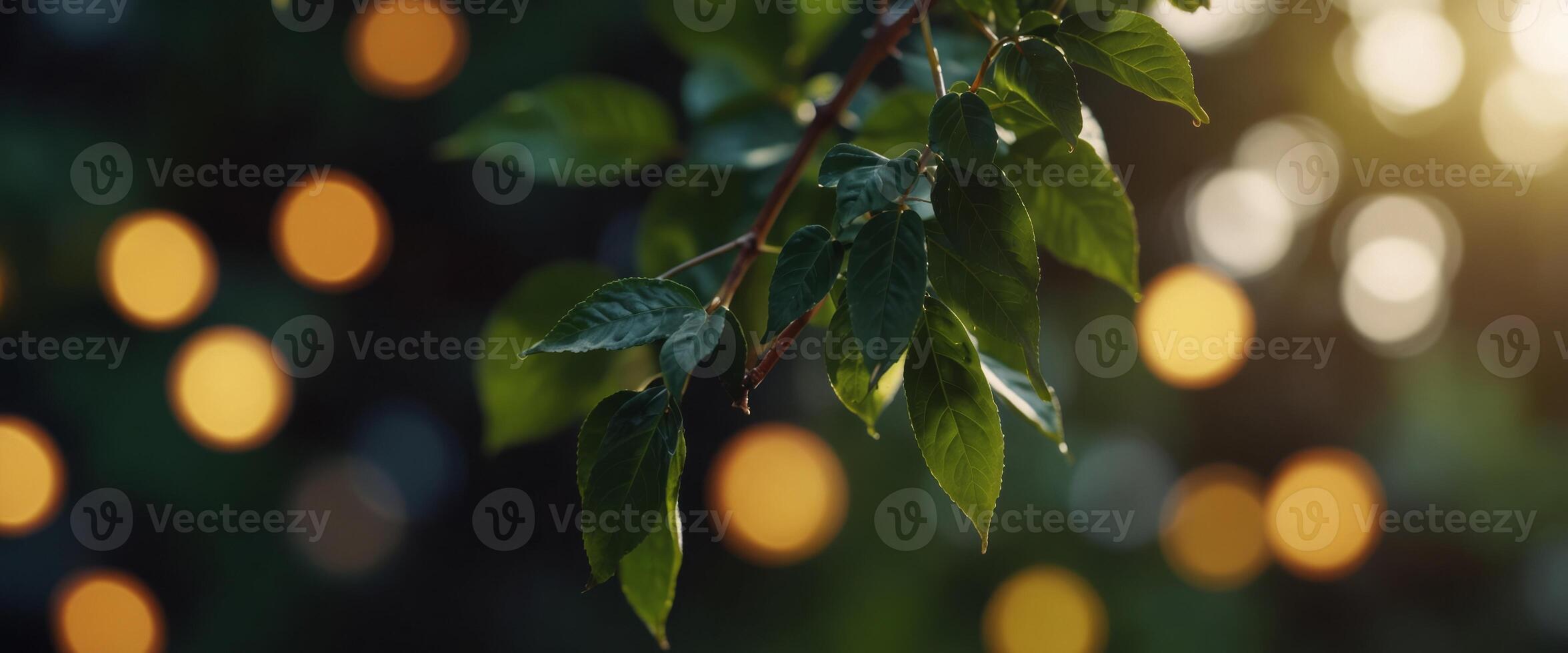 summer, holidays, vacation and happiness concept. photo