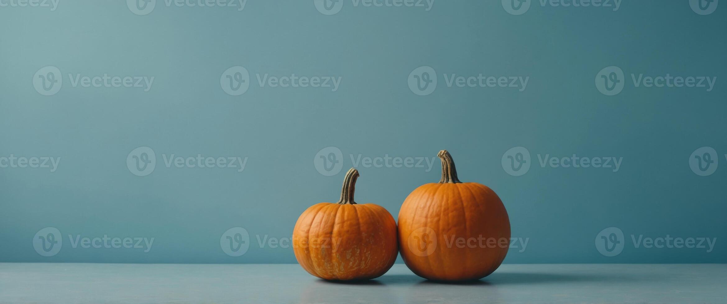 Two orange pumpkins on pastel blue background Autumn concept Seasonal banner design with copy space. photo