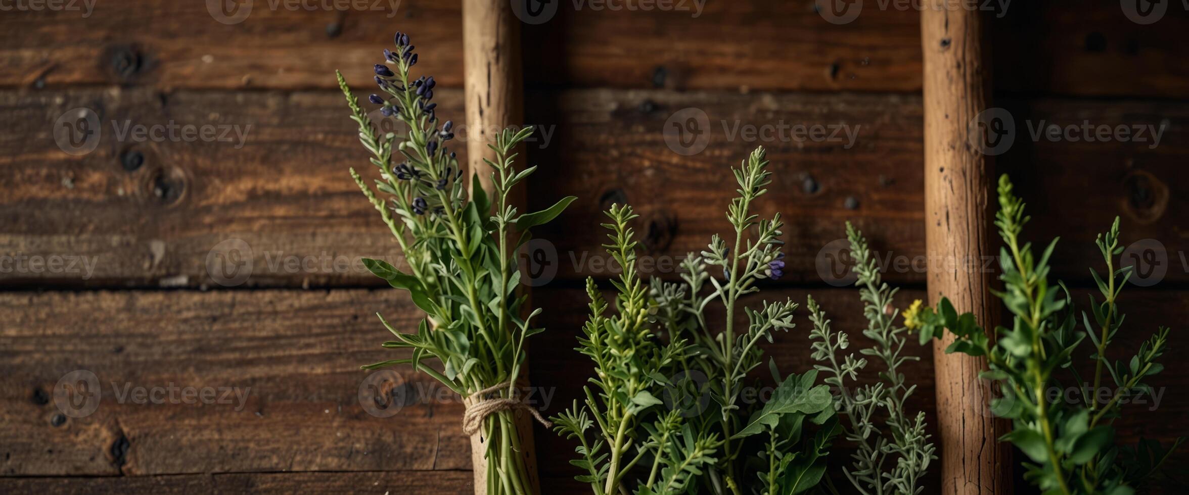 Wild Herbs Different Gathering of Medicinal Alternative Treatment Wooden Background Vintage Rural Country Style. photo