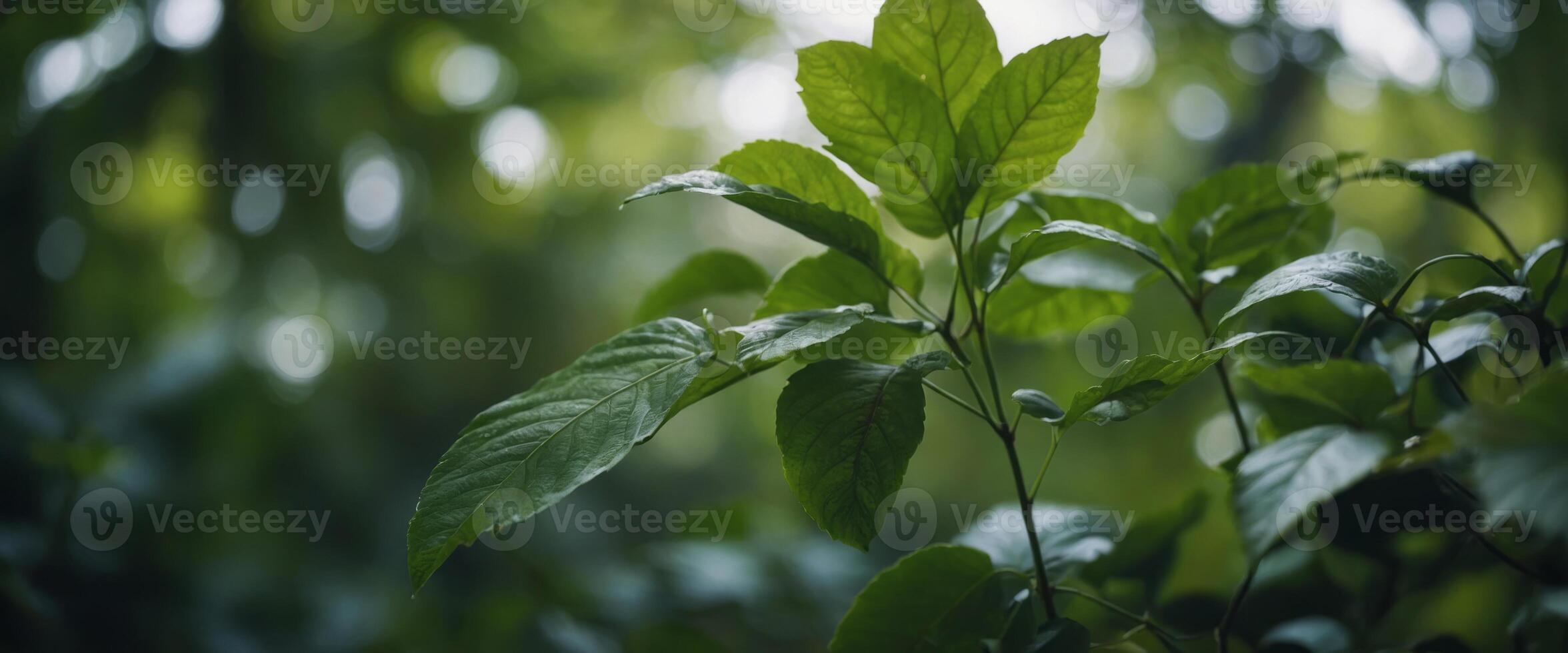 blurred bokeh background with green leaves for text ecology and healthy environment concept. photo