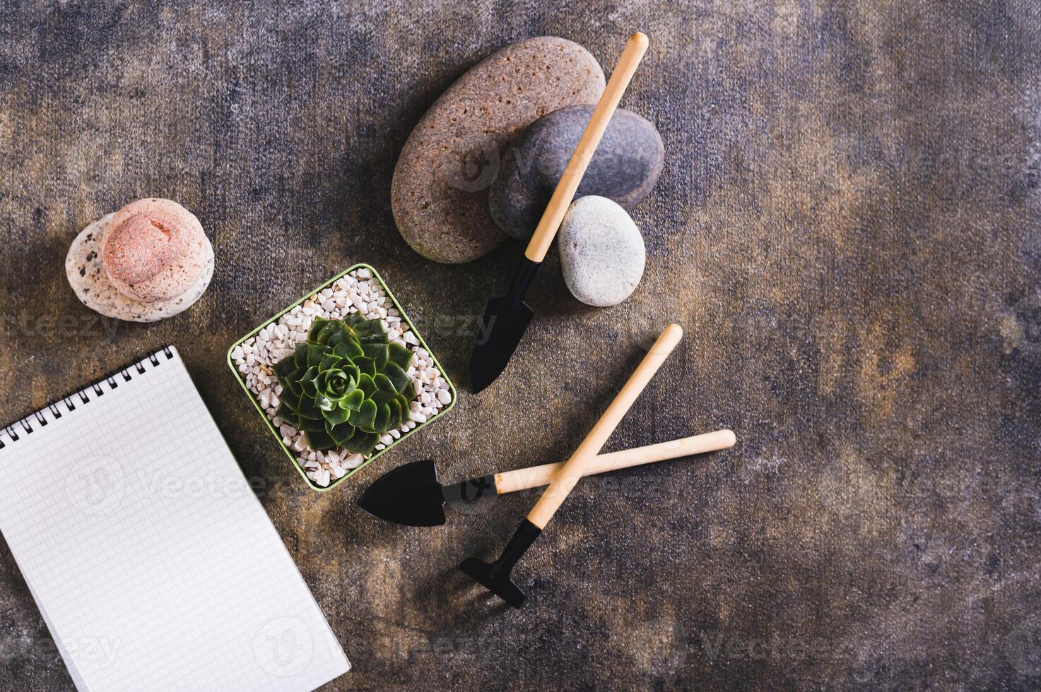Succulent in a pot and tools for home gardening on the table top view photo