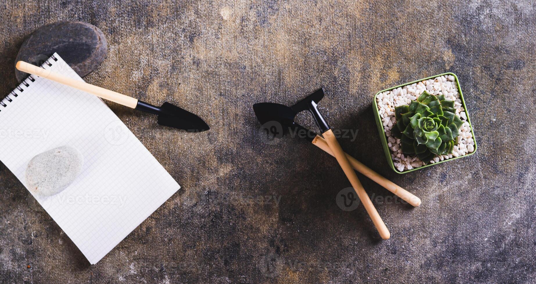 Succulent plant, home gardening tools, notebook and stones on the table top view web banner photo