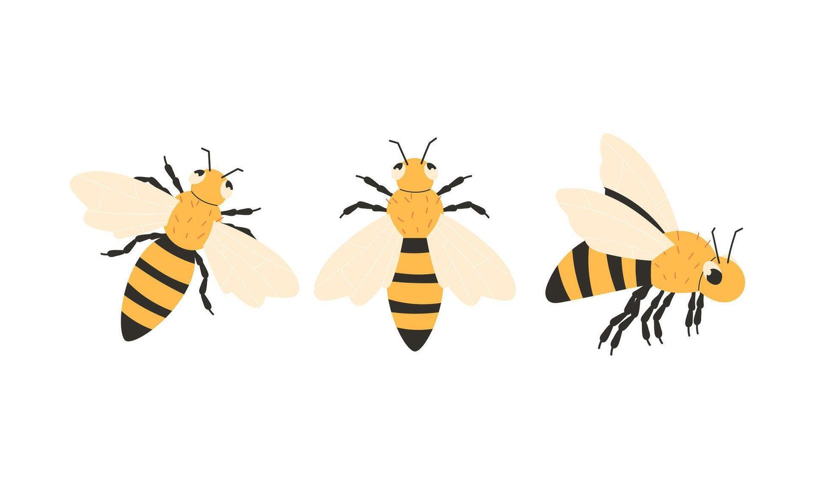 Set of cartoon bees in flat style vector