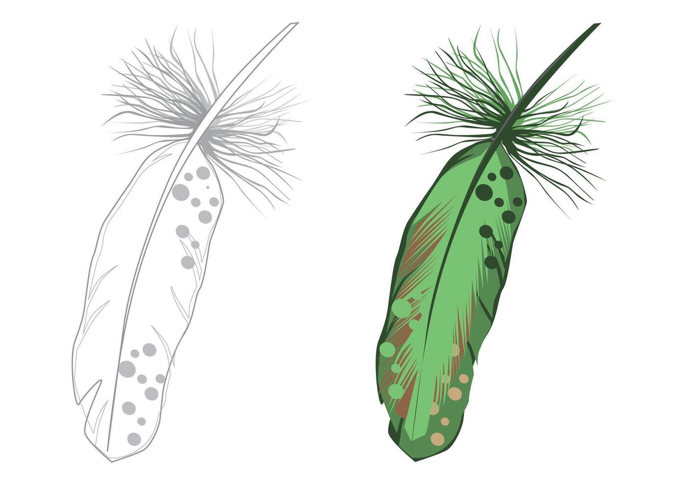 Set of bird feathers. Colored and bw vector