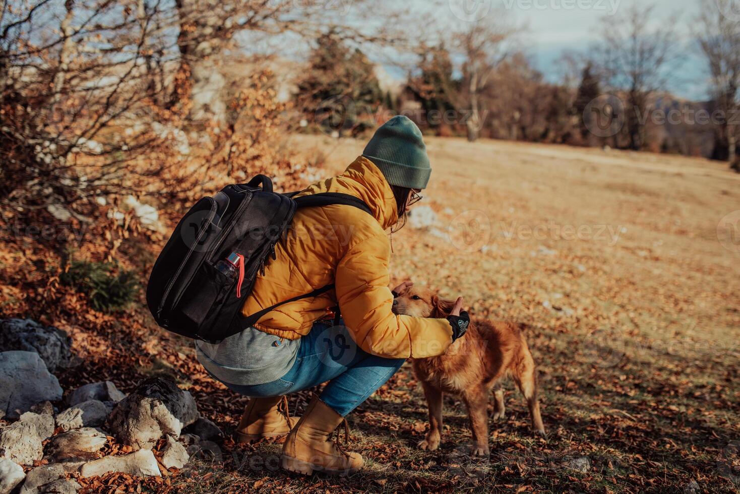 Girl with a dog play in the mountains. Autumn mood. Traveling with a pet.Woman and her dog posing outdoor. photo