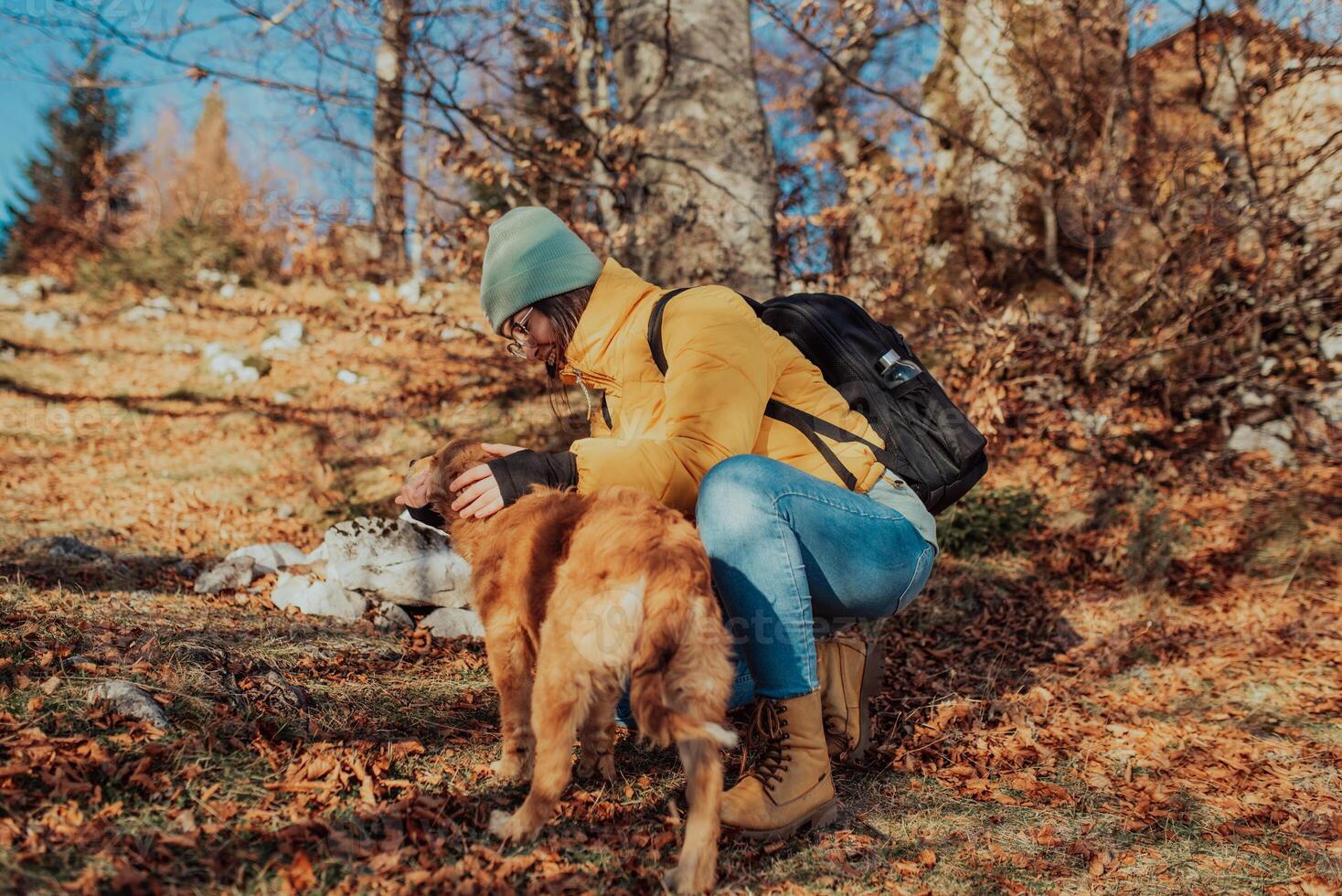Young woman with dog on a sunny day hiking photo