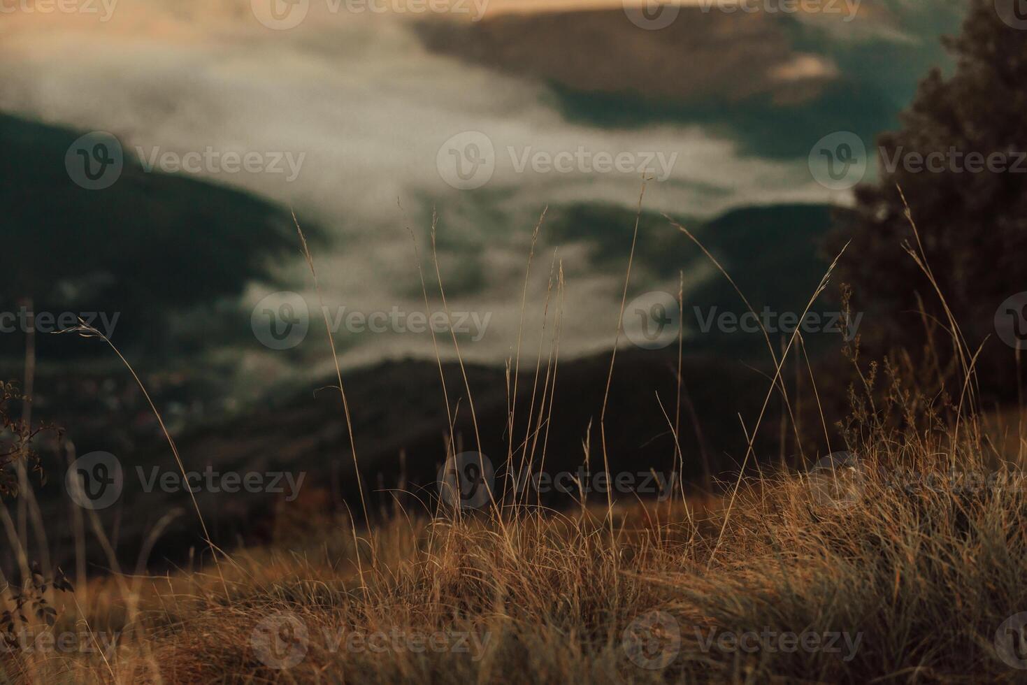 Mountain range with visible silhouettes through the morning colorful fog photo