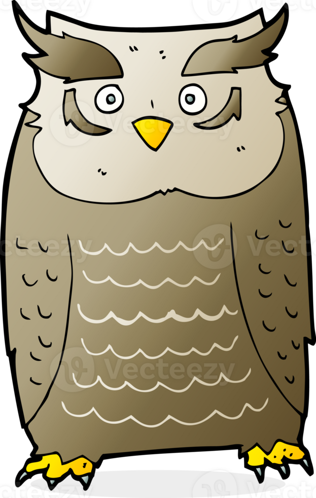 cartoon owl drawing png