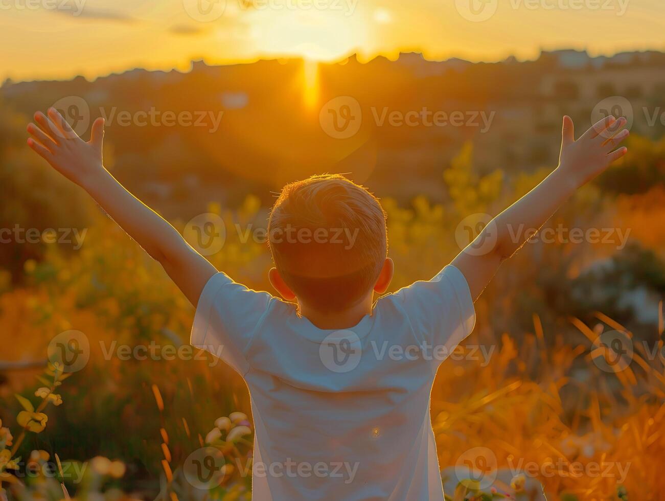 A young boy is standing in a field with his arms raised, smiling photo
