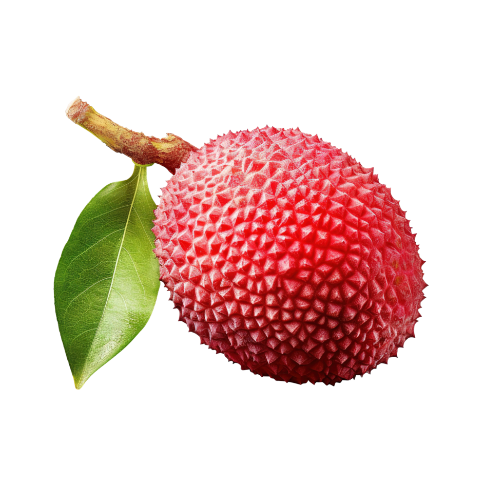 Fresh Juicy Lychee with leaf on transparent background png