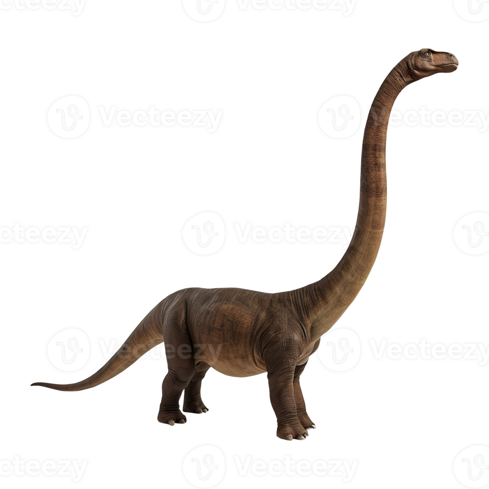Brachiosaurus, Diplodocus, Brontosaurus dinosaur on transparent background png