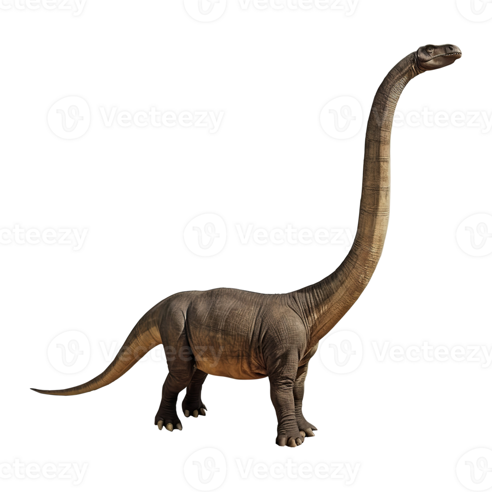 Brachiosaurus, Diplodocus, Brontosaurus dinosaur on transparent background png