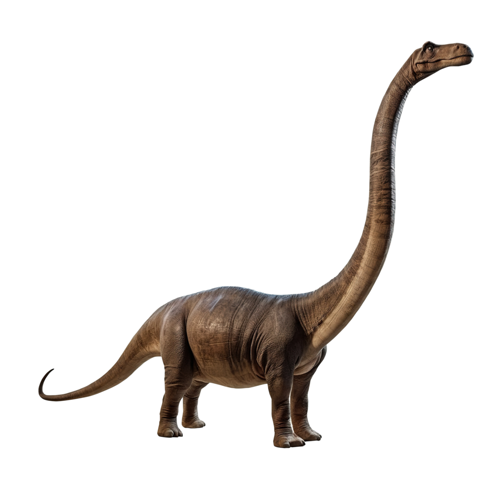 Brachiosaurus, Diplodocus, Brontosaurus dinosaur on transparent background png