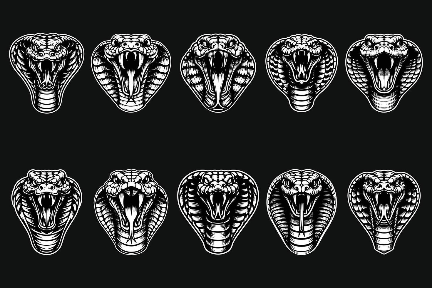 Dark Art Angry Cobra Snake Beast Head Black and White Illustration vector