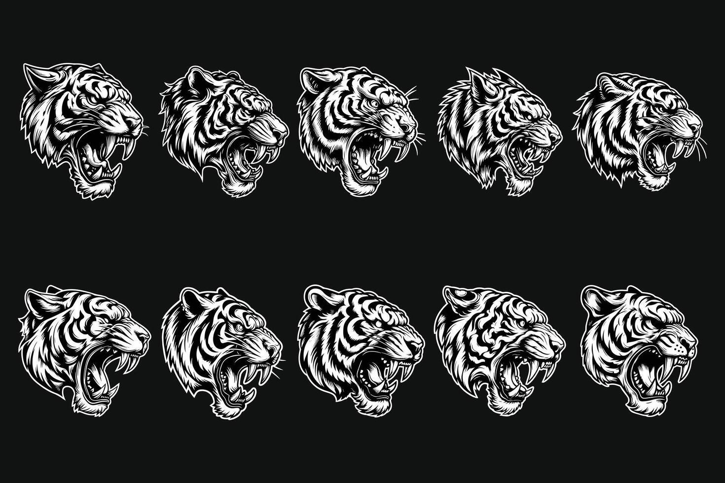Dark Art Tiger Beast Angry Head with Sharp Fang Black and White Illustration vector