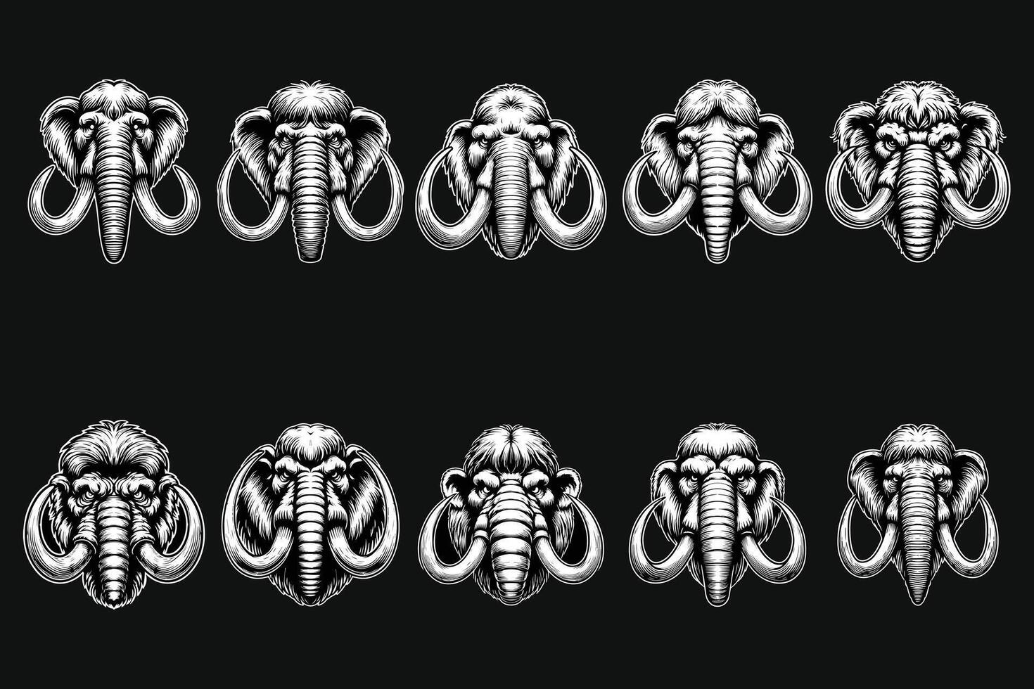 Dark Art Beast Mammoths Head with Long Tusks Black and White Illustration vector