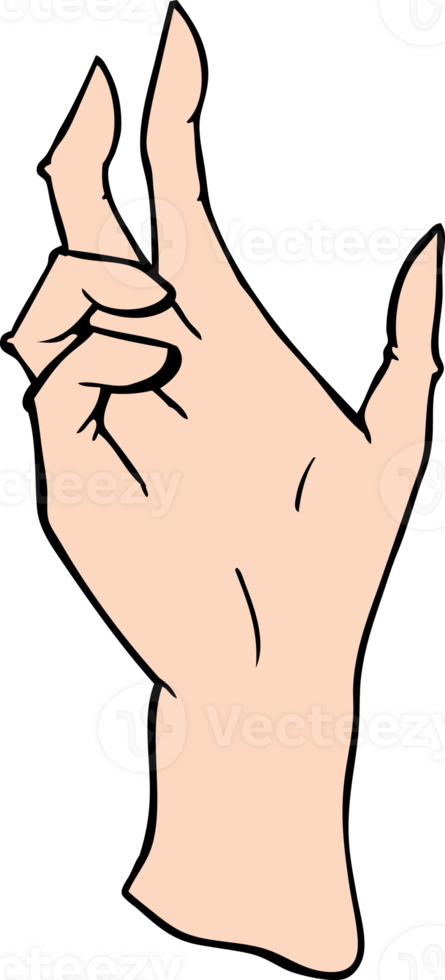 cartoon hand drawing png