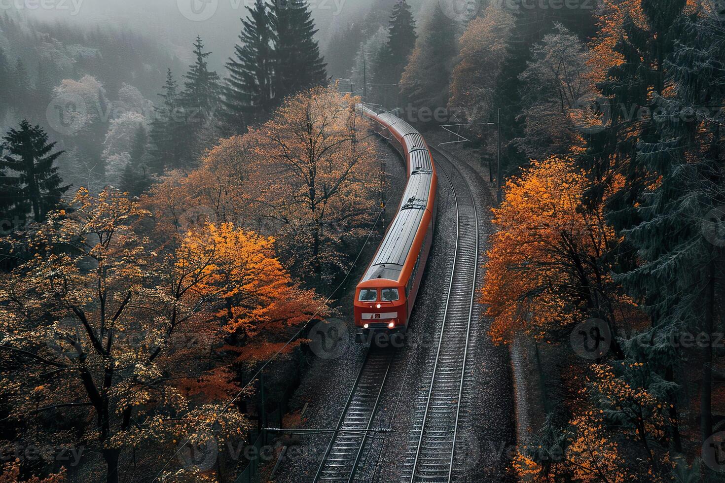 A red train is traveling down a track through a forest photo