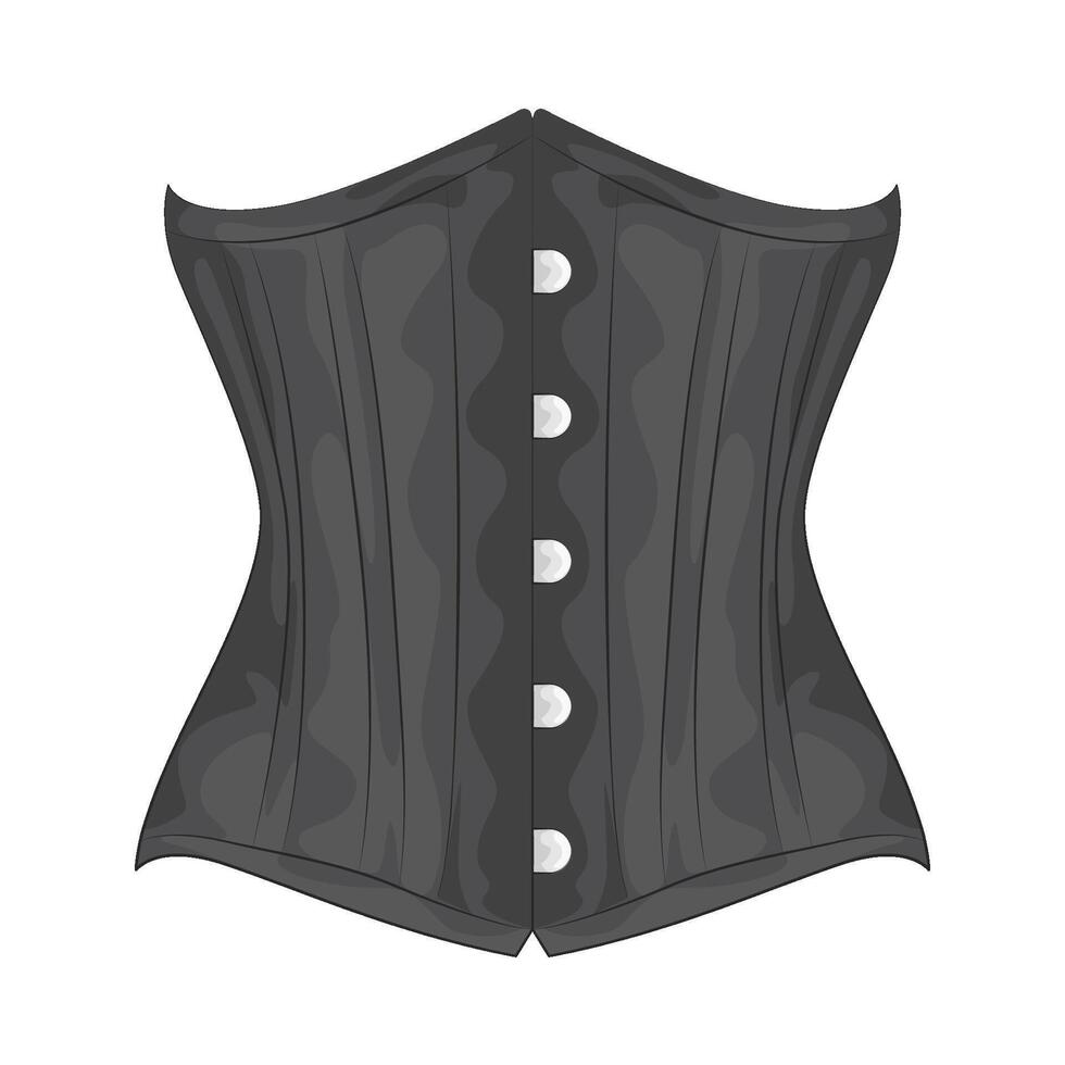 Illustration of corset vector