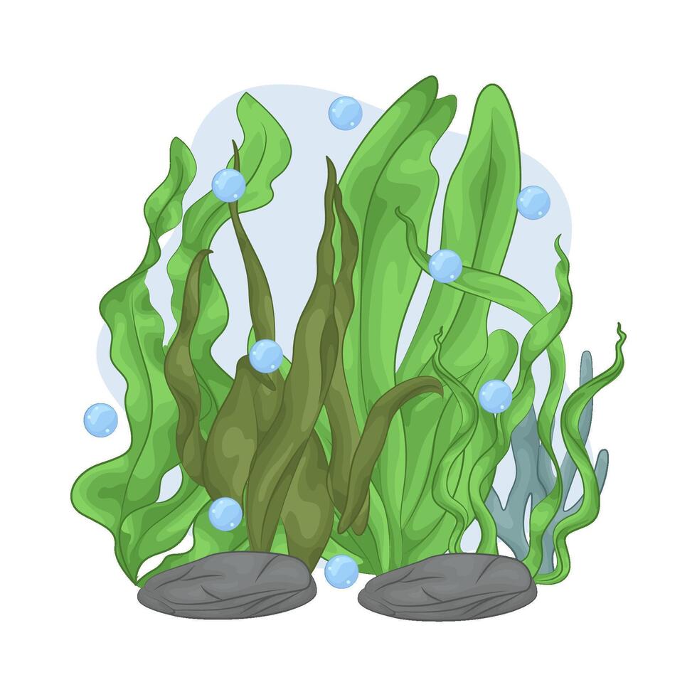 Illustration of seaweed vector