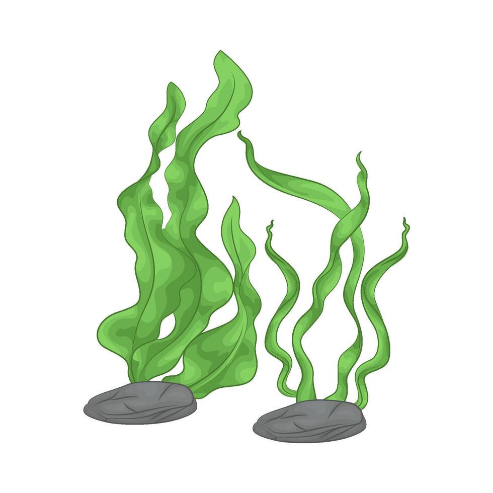 Illustration of seaweed vector