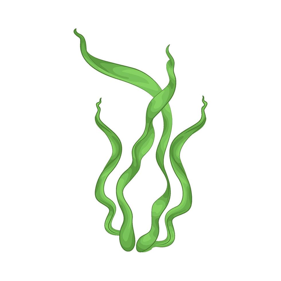 Illustration of seaweed vector