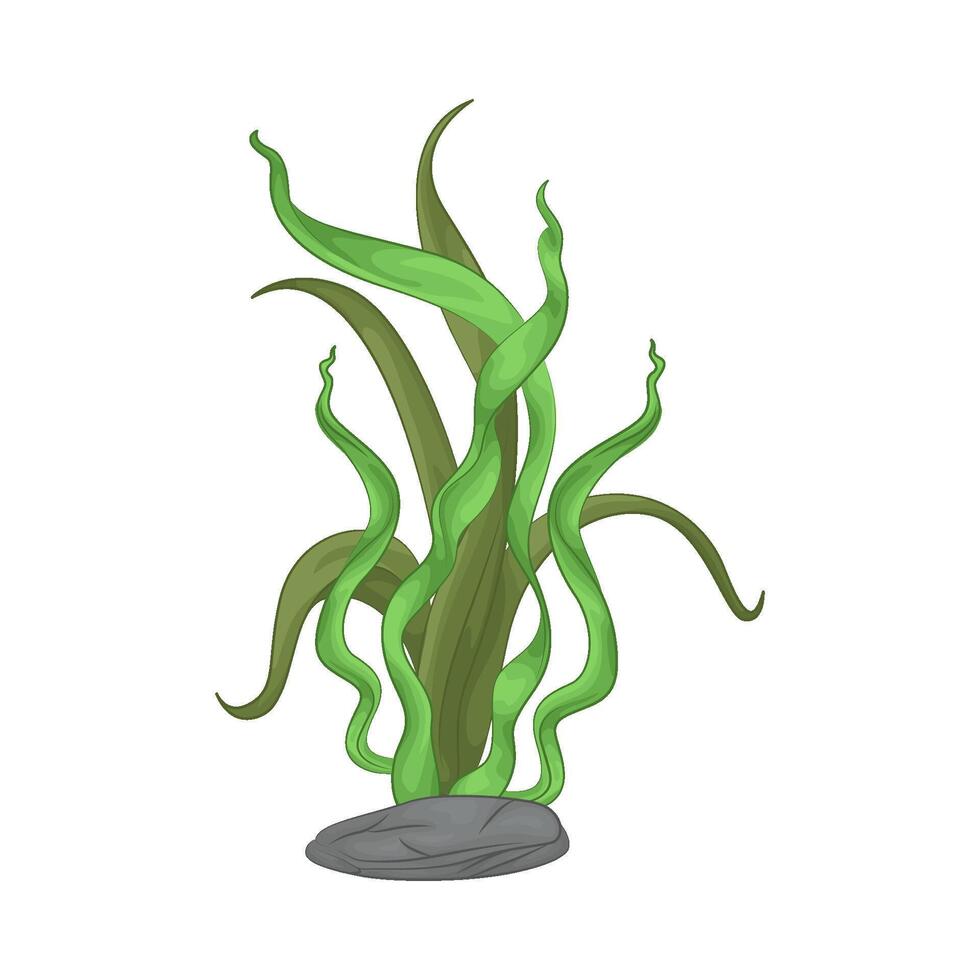 Illustration of seaweed vector