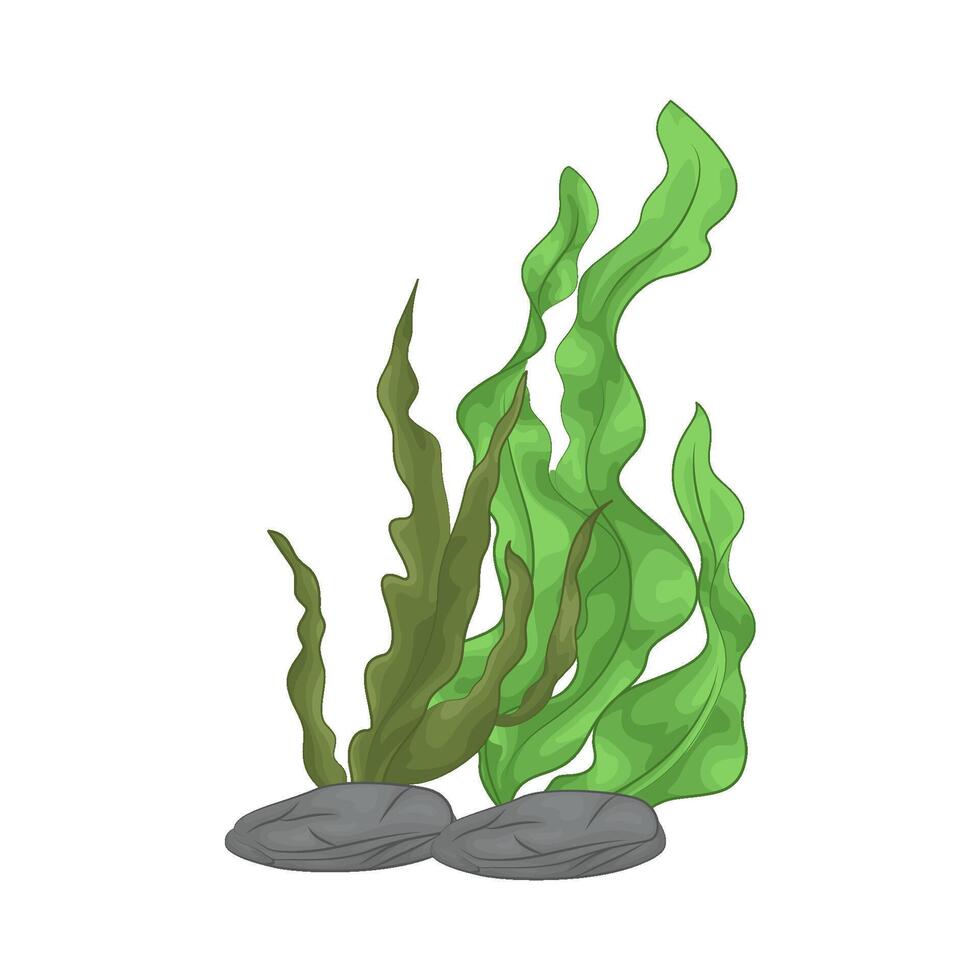 Illustration of seaweed vector