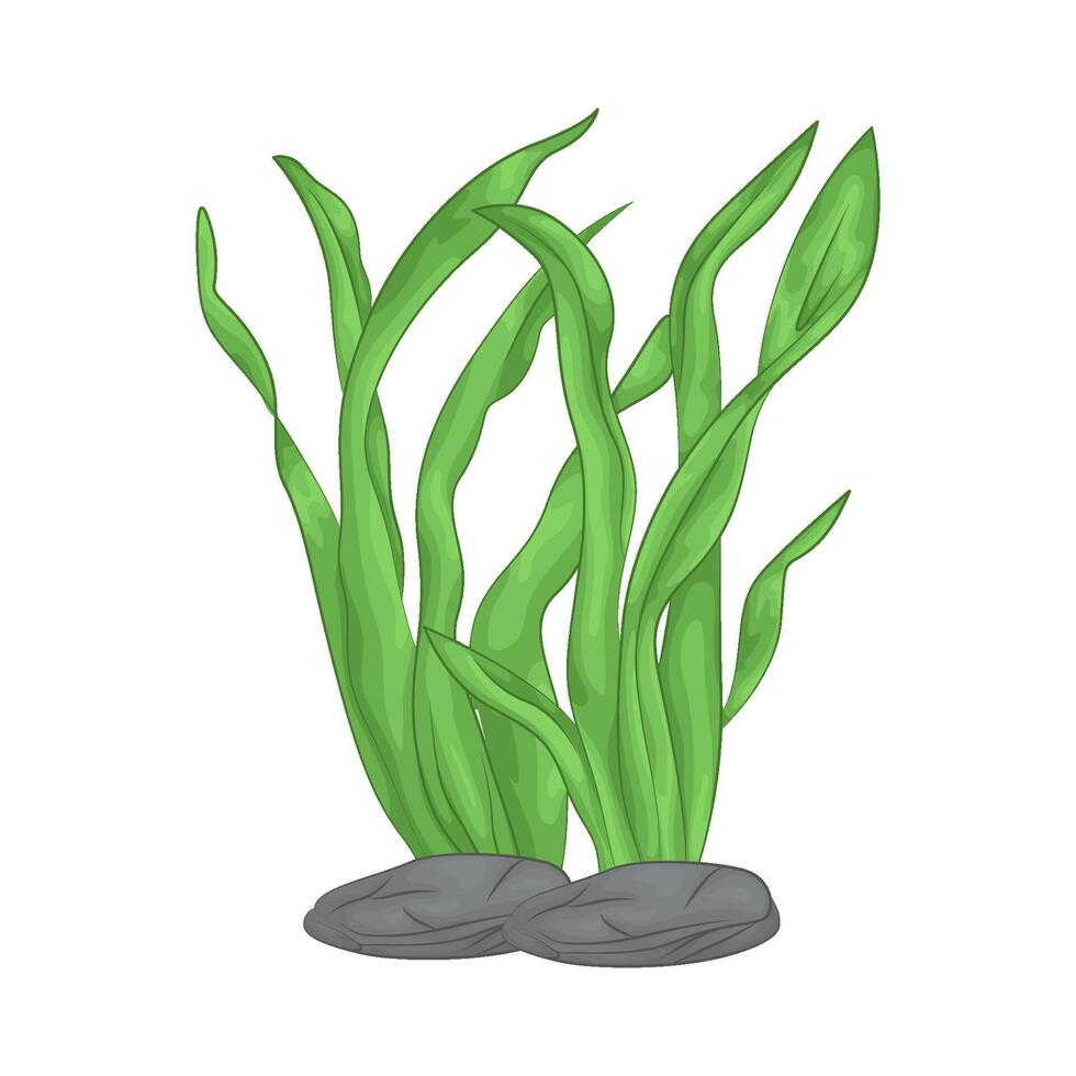 Illustration of seaweed vector