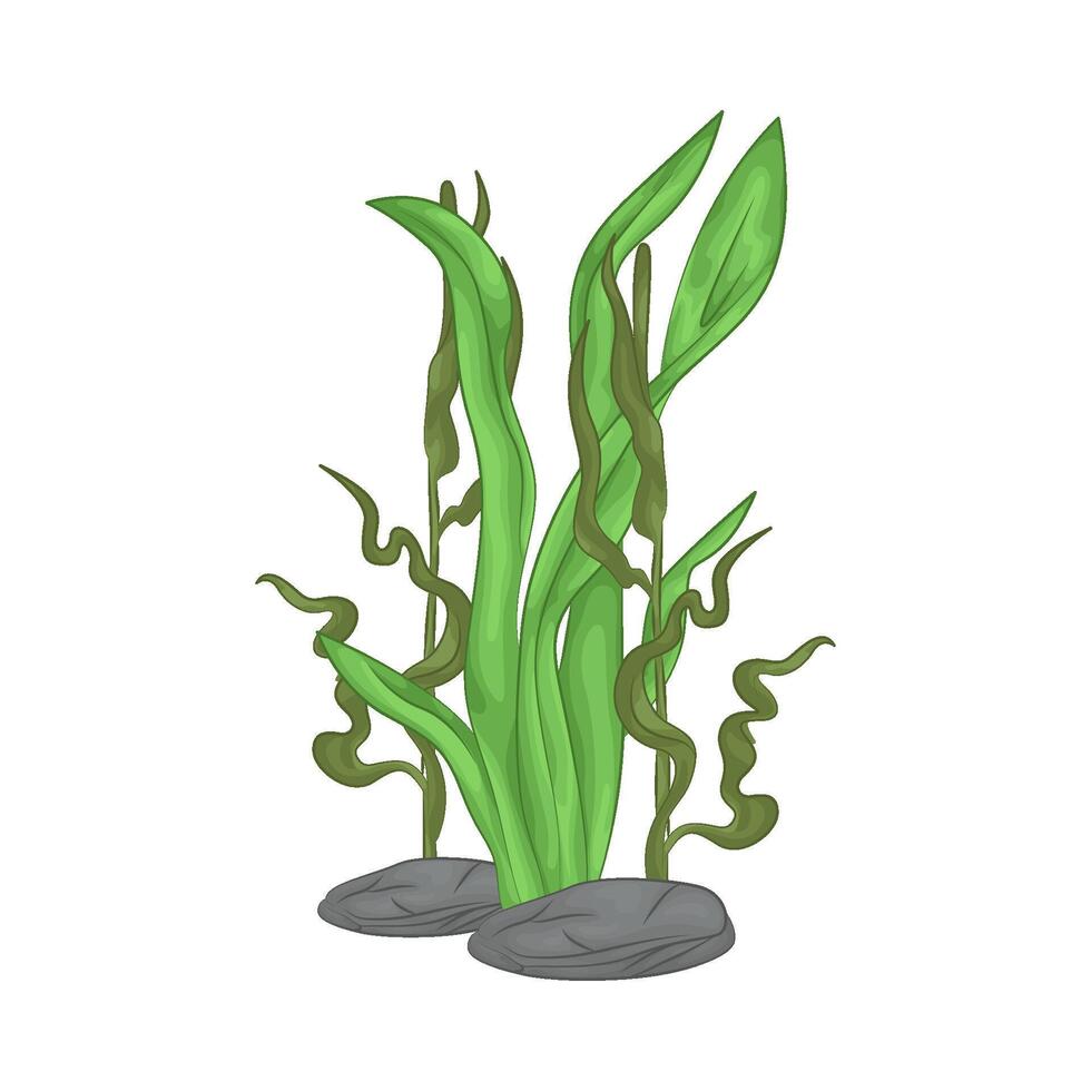 Illustration of seaweed vector