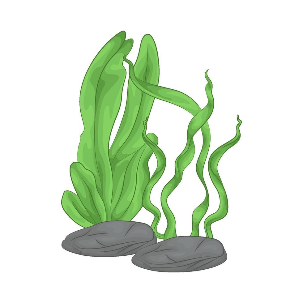 Illustration of seaweed vector