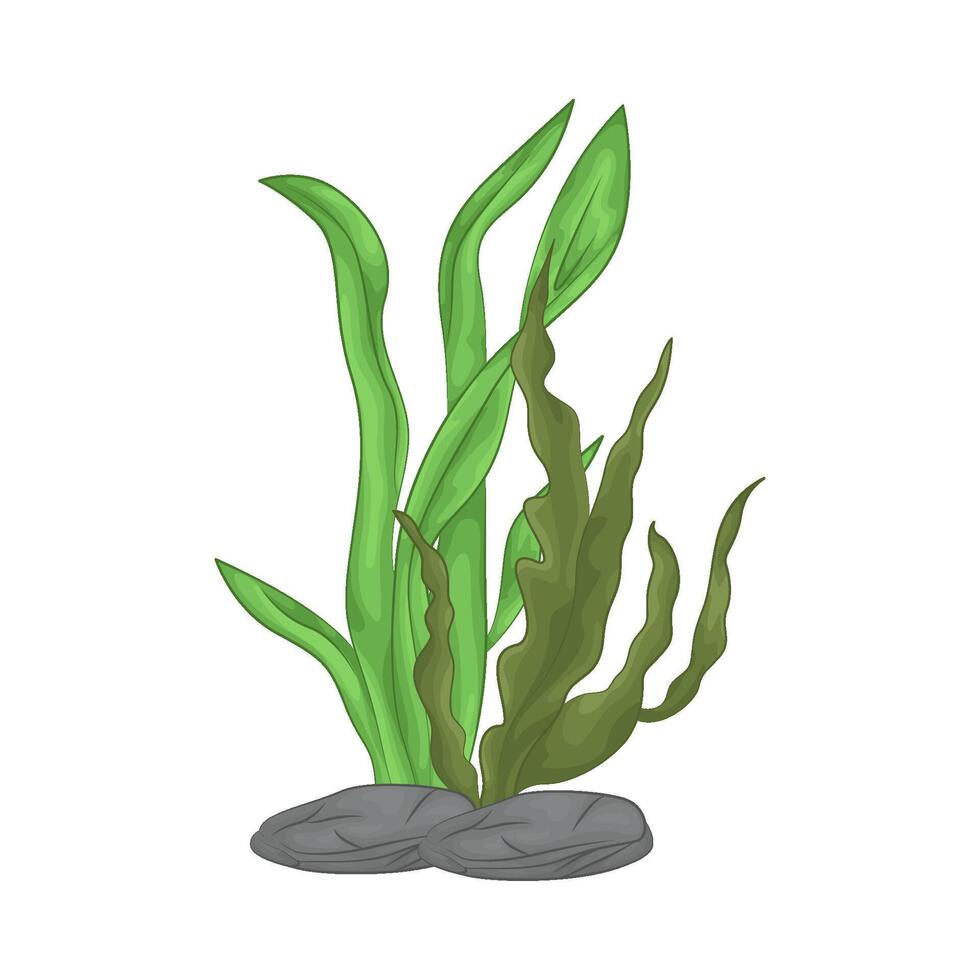 Illustration of seaweed vector