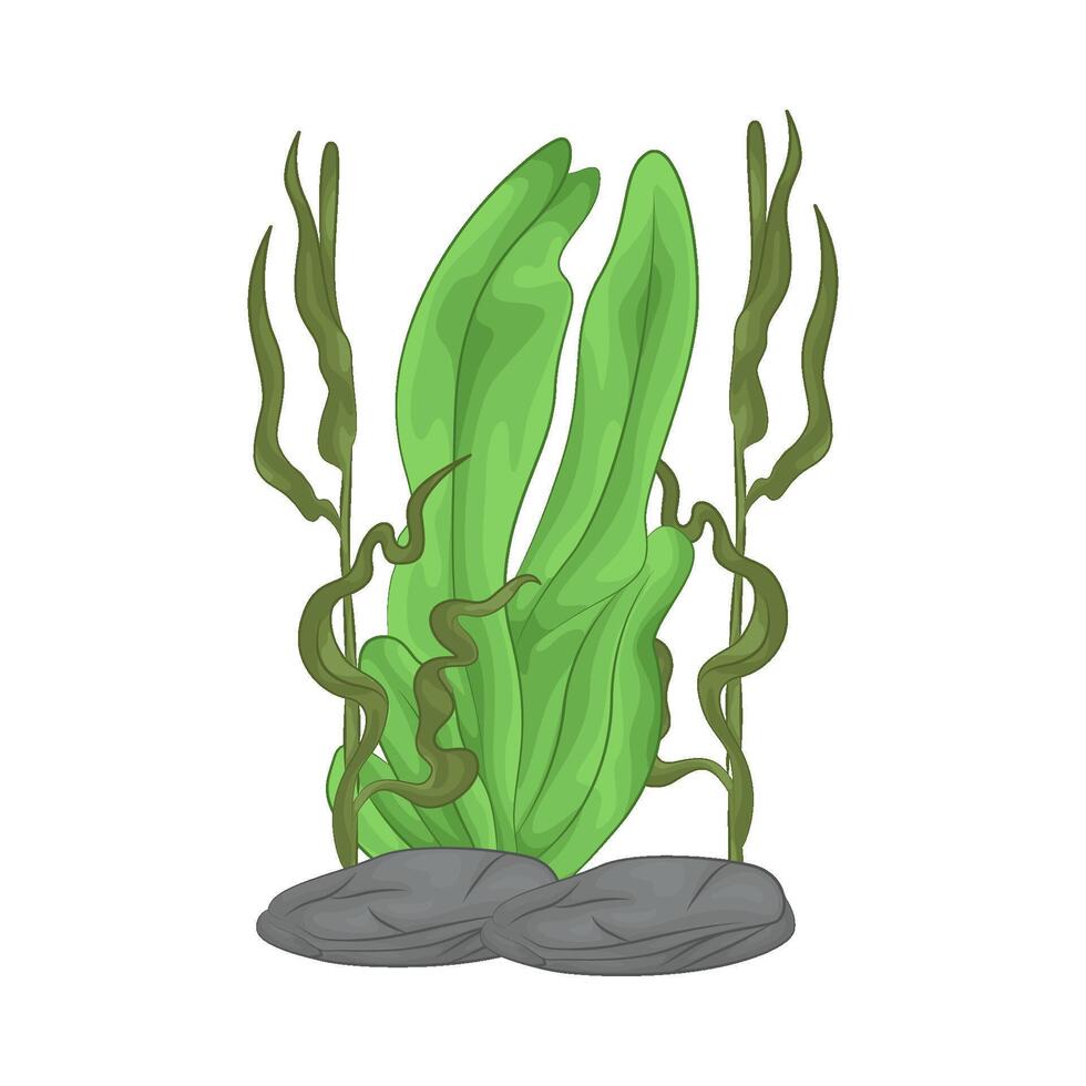 Illustration of seaweed vector