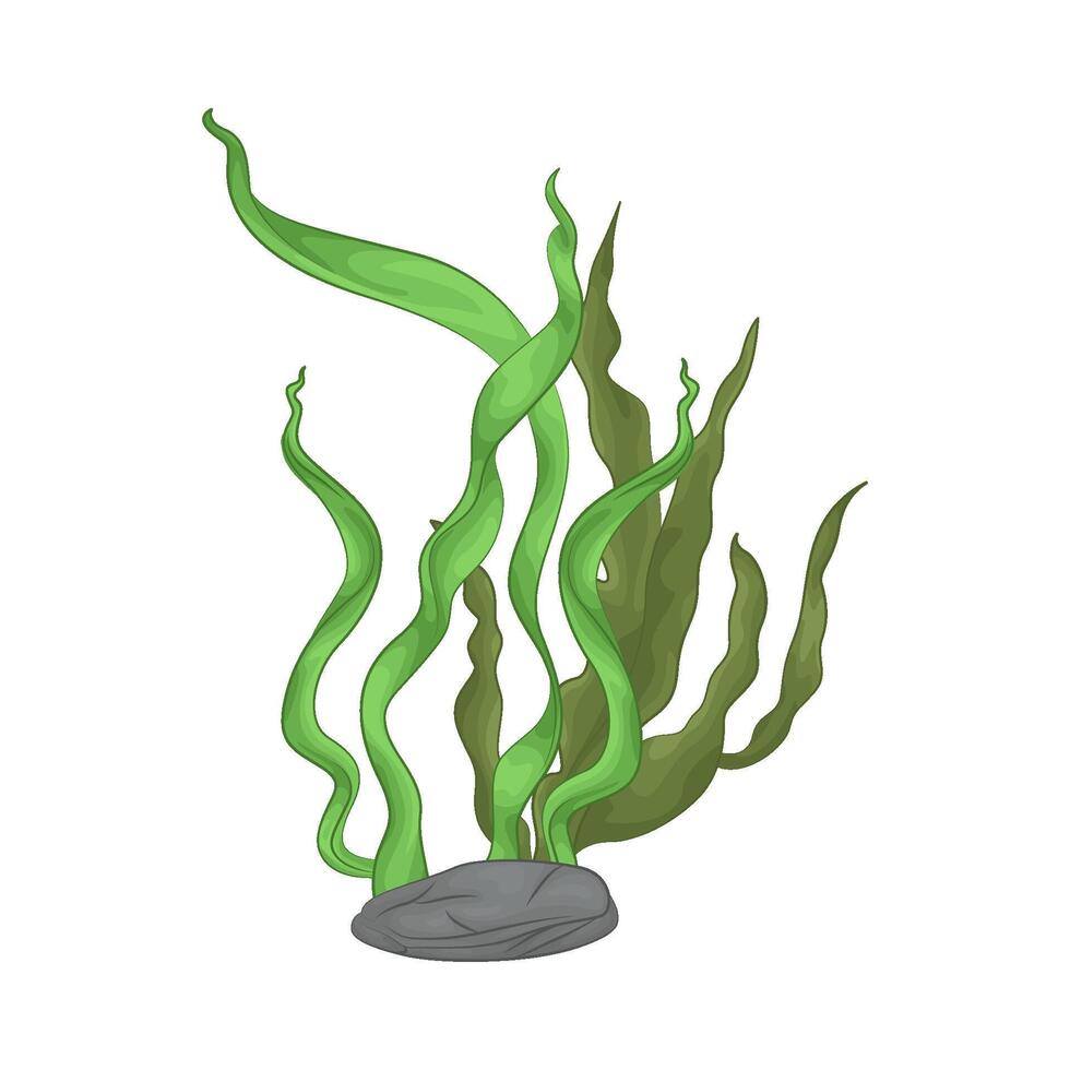 Illustration of seaweed vector