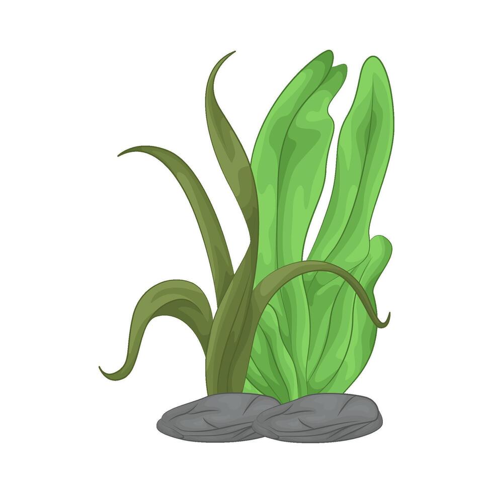 Illustration of seaweed vector