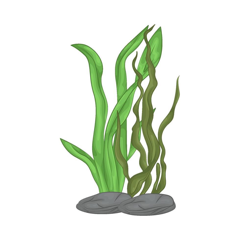 Illustration of seaweed vector