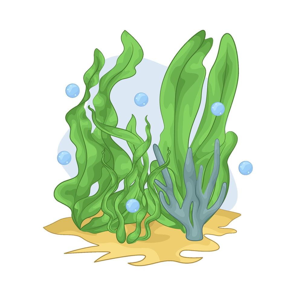 Illustration of seaweed vector